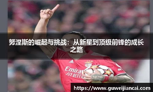 努涅斯的崛起与挑战：从新星到顶级前锋的成长之路